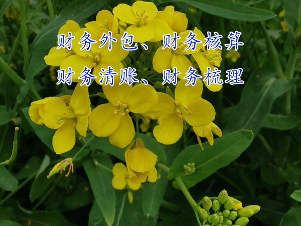 企業(yè)規(guī)模發(fā)展大了為什么要做財(cái)務(wù)外包？