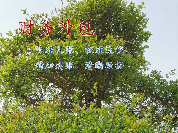 鄭州生產(chǎn)制造企業(yè)財(cái)務(wù)外包的好處是什么？